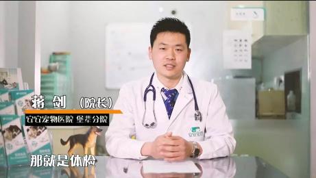 弓形虫检测要多少钱（宠物什么时候做体检）
