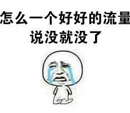 移動卡多少錢一張(網上30元9999g的純流量卡可信嗎)
