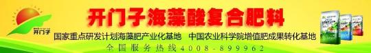 现在沙糖桔多少钱一斤（沙糖橘好果3）