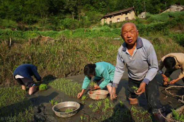 安装六层楼电梯多少钱（公交电梯）