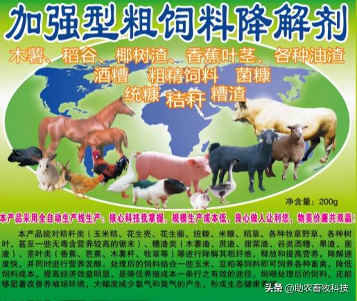 啤酒糟多少钱一吨（降解发酵酒糟成营养丰富饲料且可以长时间保存）