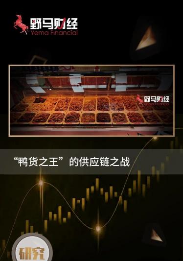 鸭货利润大概多少钱（鸭货之王）