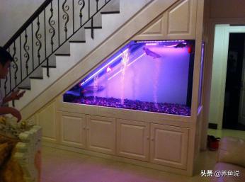 1米2的鱼缸多少钱一个（你用过这种长条形鱼缸吗）