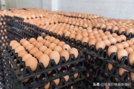 今天鸡蛋价格多少钱（鸡蛋价格）