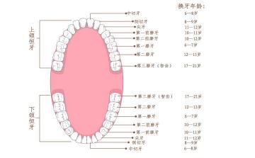 牙突出矫正需要多少钱（牙齿矫正要拔牙的话）