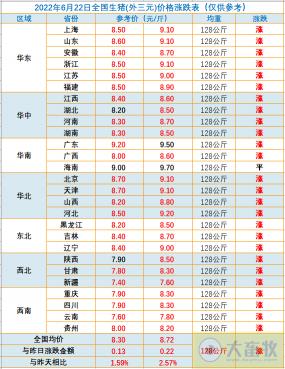 今天肥豬多少錢一斤（今日豬價再創新高）