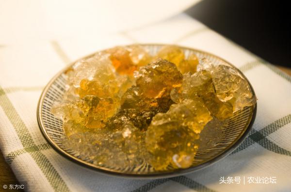 桃胶一斤多少钱（现在食品桃胶价格多少钱一斤）