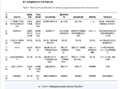 宫颈癌手术多少钱（宫颈癌根治性手术的术式精准选择与实施）