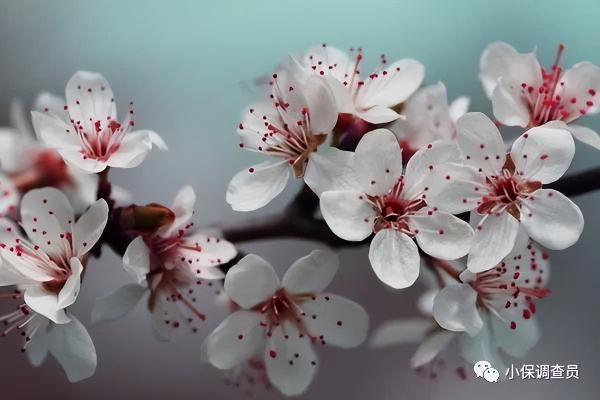 寿险中途退保能退多少钱（中国人寿保险退保能退多少钱）