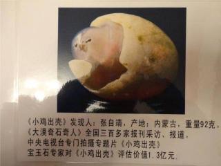 九五之尊多少钱（15年山东男子捡到熊猫奇石）