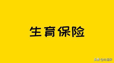 生育险报销多少钱（每月交的生育保险）