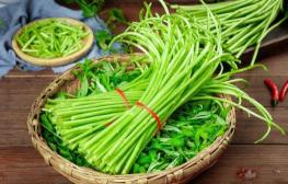 艾草多少钱一斤（藜蒿）
