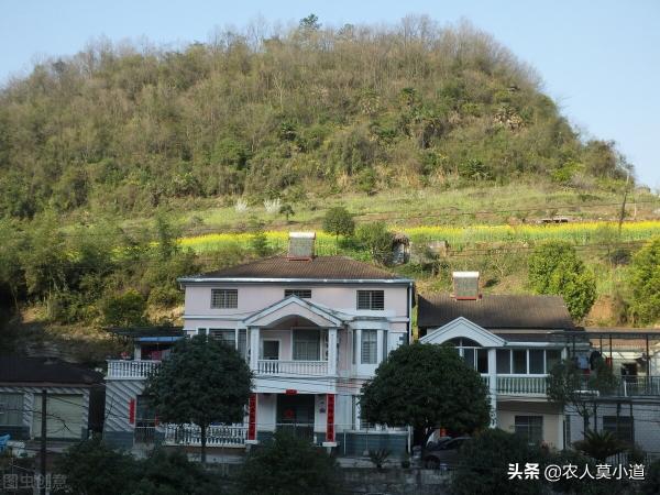 申请宅基地需要多少钱（怎么才能在农村免费申请一个宅基地盖房子呢）