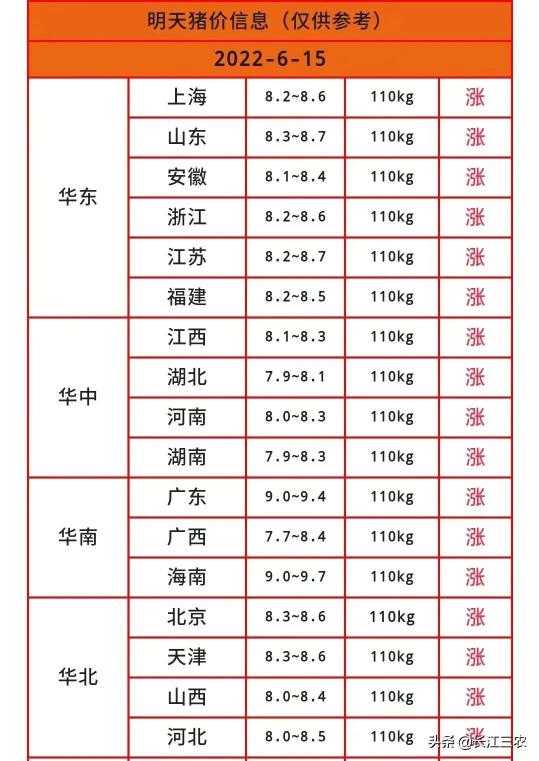 五花肉多少钱（猪价站稳16）