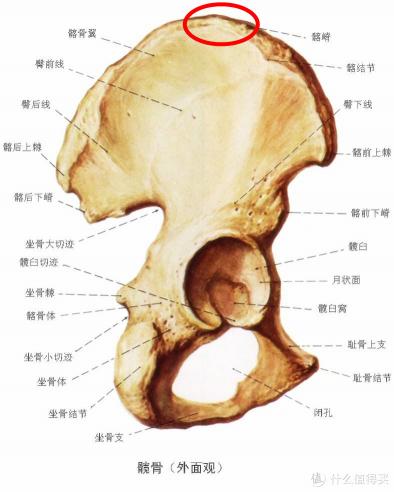 车镜子坏了多少钱一个（关于自行车鞍座调整的一系列问题探讨）