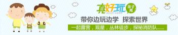 杨梅红学费一年多少钱（合肥多家美术机构的真实试听体验）