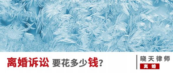起诉离婚要花多少钱（打一场离婚官司）