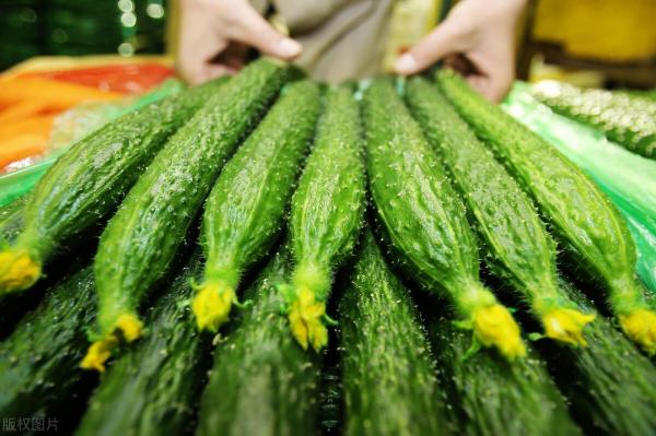 菠萝蜜多少钱（黄瓜低至5毛）