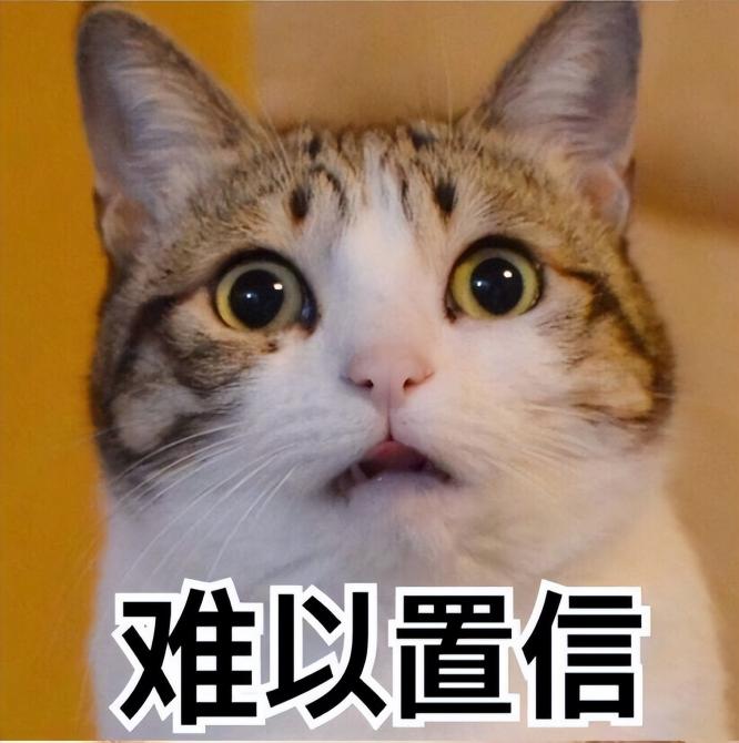 仙女猫多少钱一只（这4种猫）