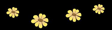 西安上環(huán)多少錢（化蝶日記）