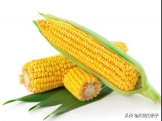 玉米能漲到多少錢一斤（今年的玉米價格為什么會上漲那么多）