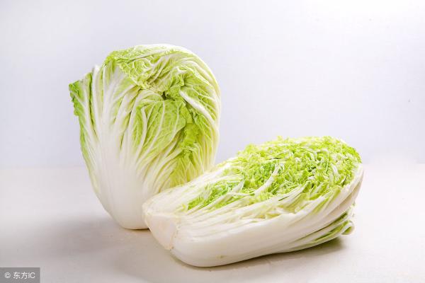 白菜多少钱（12月5日白菜价格多少钱一斤）