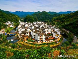 农村退出宅基地补偿多少钱（退出宅基地）
