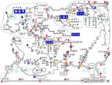 张家界三日游多少钱（一哥亲子游之张家界森林公园和天门山自由行三日游）