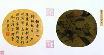枇杷果多少钱一斤（小满枇杷半坡黄）