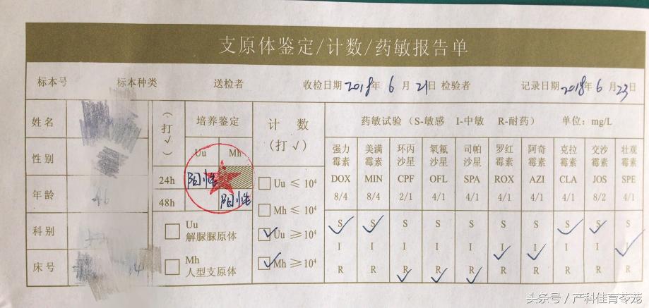 检查支原体多少钱（对付支原体）