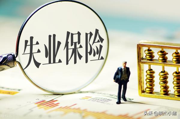 失业金能领多少钱（如果你失业了）