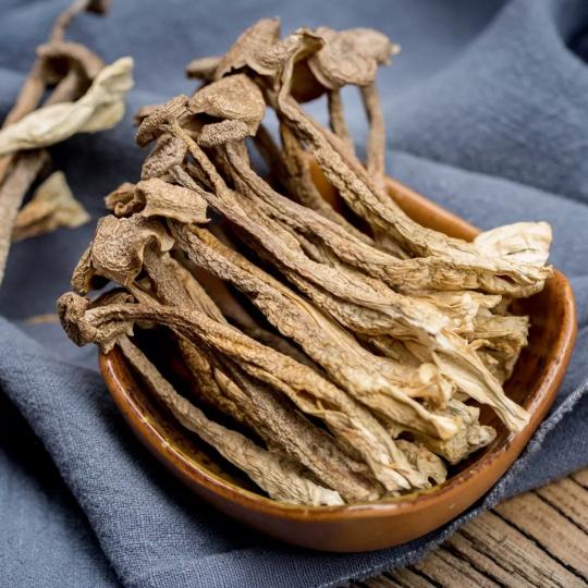 鹿茸菌多少錢一斤（食材）