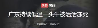 一头水牛值多少钱（广东一头水牛在野外被罕见冻死）