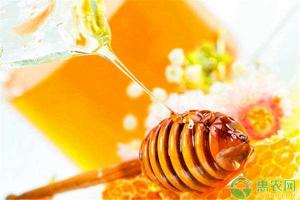 纯蜂蜜多少钱一斤（目前蜂蜜多少钱一斤）