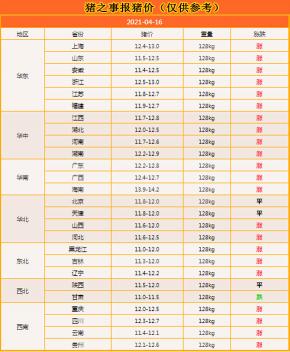 现在市场牛肉多少钱一斤（猪价）