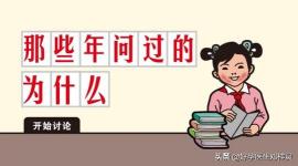 b超要多少钱（为什么花2块钱买个排卵试条就能解决的事）