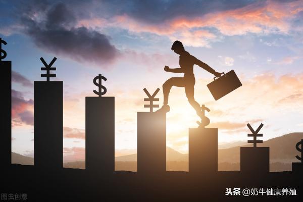 水牛800斤一头多少钱（涨了涨了）