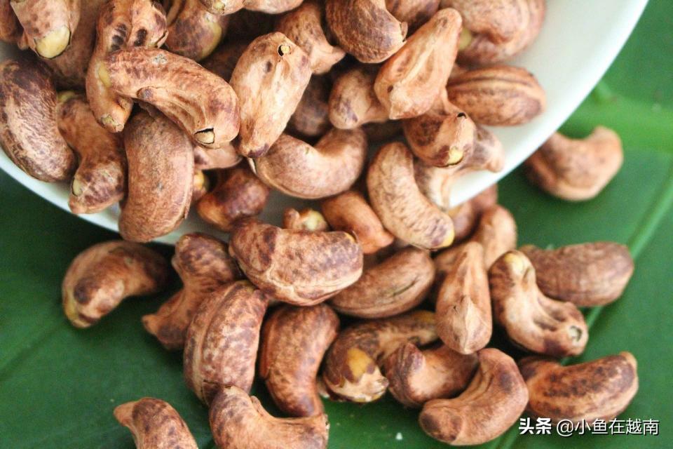 越南腰果多少钱一斤（走进越南）