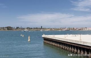 酶标仪多少钱一台（(采购意向）