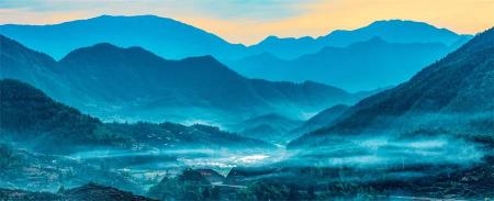 云雾茶多少钱一斤（​高山云雾出好茶）