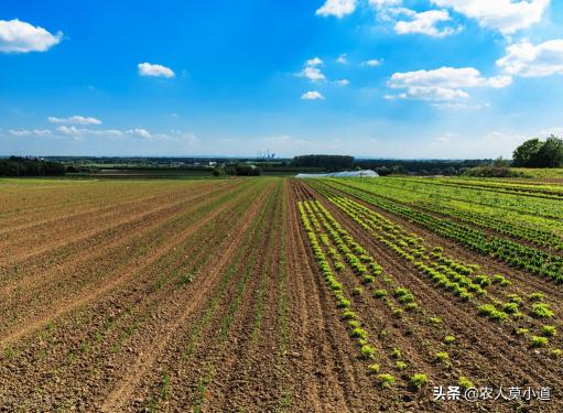 买土地多少钱一亩（如果土地流转出去每亩一年800元）