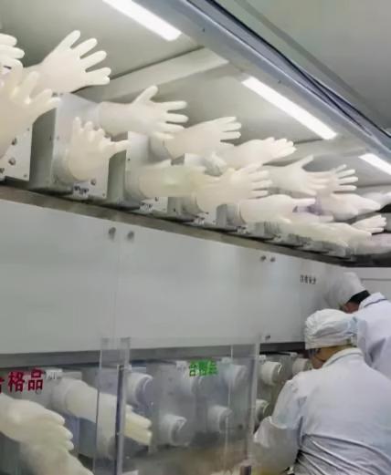 乳胶手套多少钱一双（不将就）