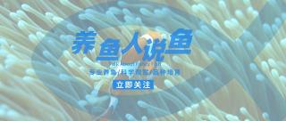 麦饭石多少钱一斤（新手养鱼该如何选择生物过滤材料）