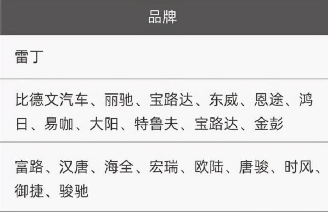 鴻日s1電動汽車多少錢（麗馳）