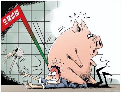 现在市场牛肉多少钱一斤（警惕）