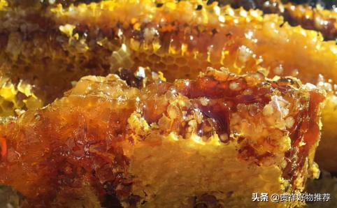 蜂蜜一般多少钱斤（正宗的蜂蜜是什么颜色的）