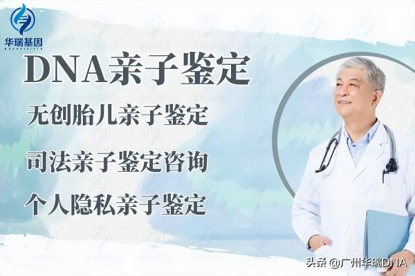 亲子鉴定费用大概多少钱（广州亲子鉴定费用多少钱）