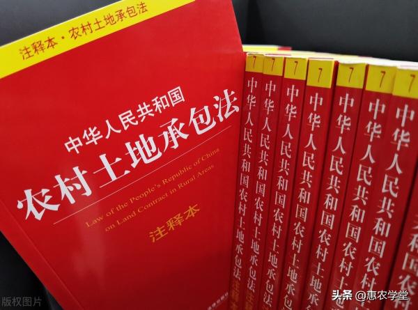 土地多少钱一亩（2022年农村土地承包每亩补贴多少钱）