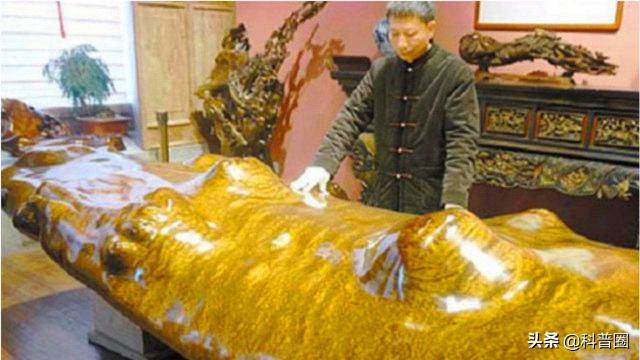 金丝楠木多少钱一吨（疯狂的金丝楠木）