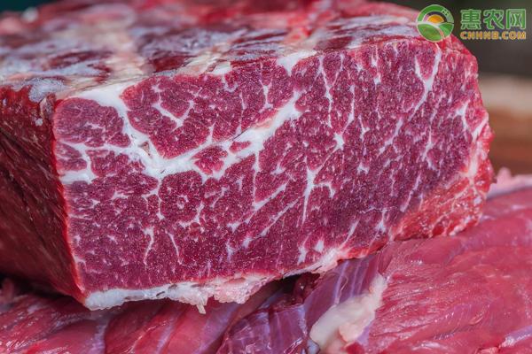 牛肉多少钱一斤现在（今日牛肉价格多少钱一斤）